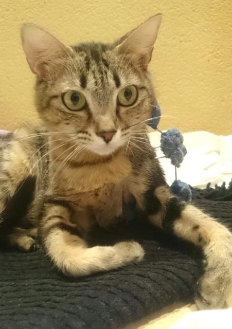 multimedia-foto38713-362-3