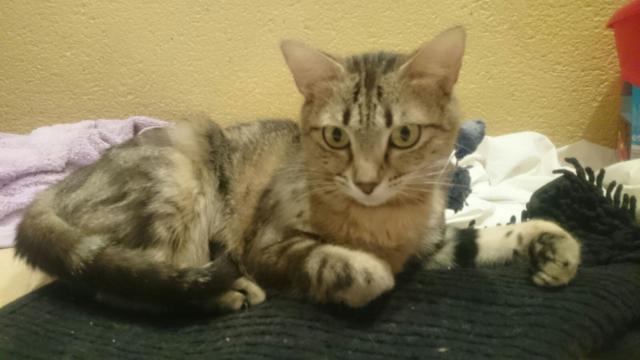 multimedia-foto38716-16-3