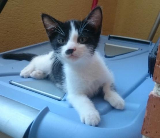 multimedia-foto38725-599-3