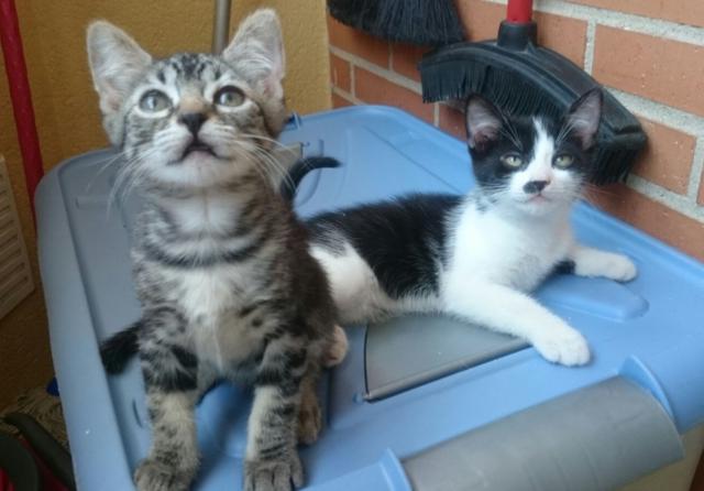 multimedia-foto38726-819-3