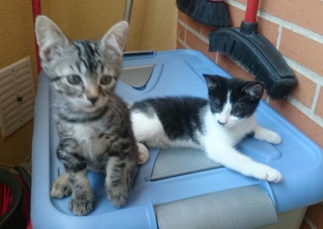 multimedia-foto38727-25-3