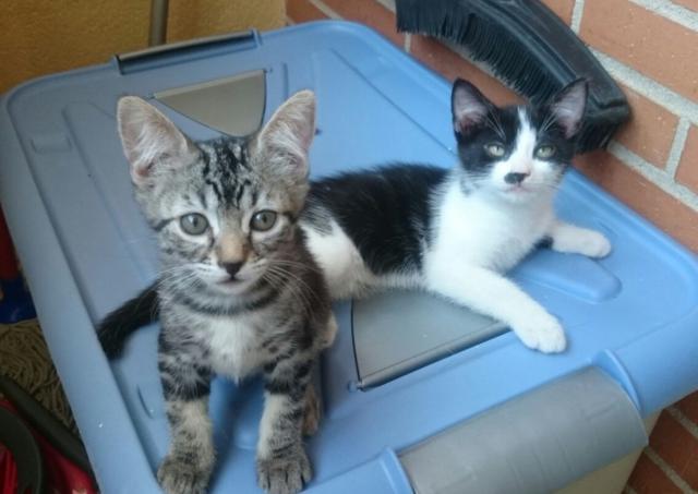 multimedia-foto38728-219-3