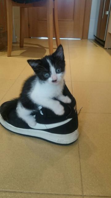 multimedia-foto38730-552-3