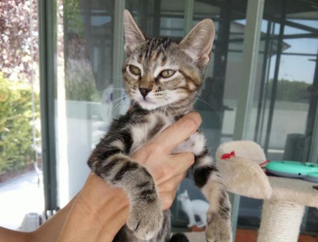 multimedia-foto38731-381-3