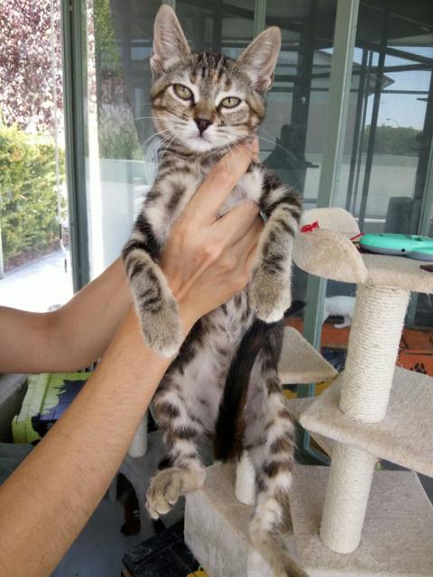 multimedia-foto38733-825-3