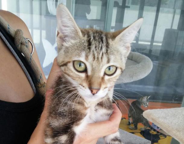 multimedia-foto38734-383-3