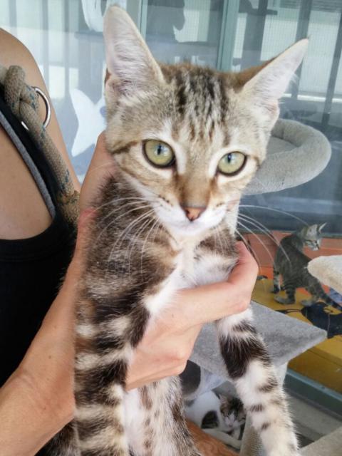 multimedia-foto38735-608-3