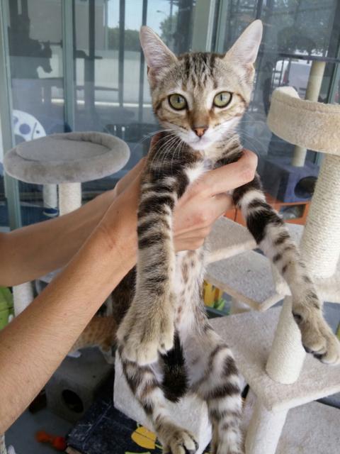 multimedia-foto38736-827-3