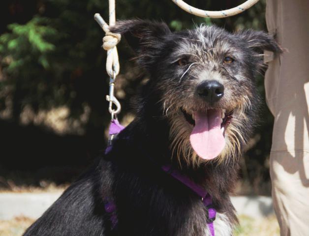 multimedia-foto38737-386-3