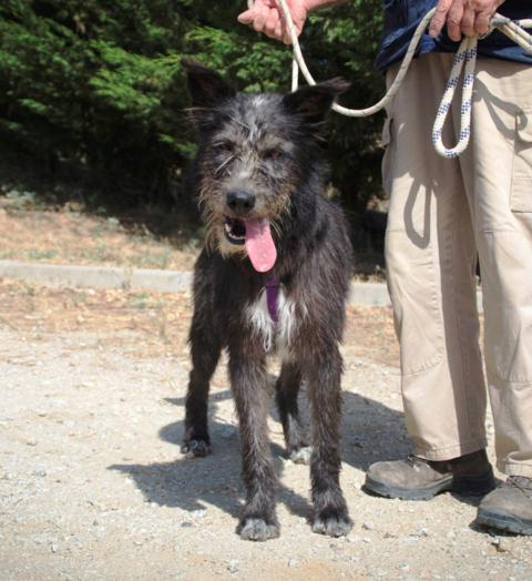 multimedia-foto38738-610-3