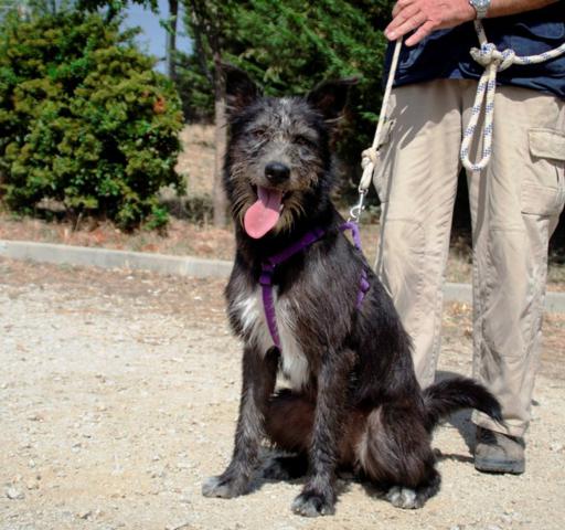 multimedia-foto38739-829-3