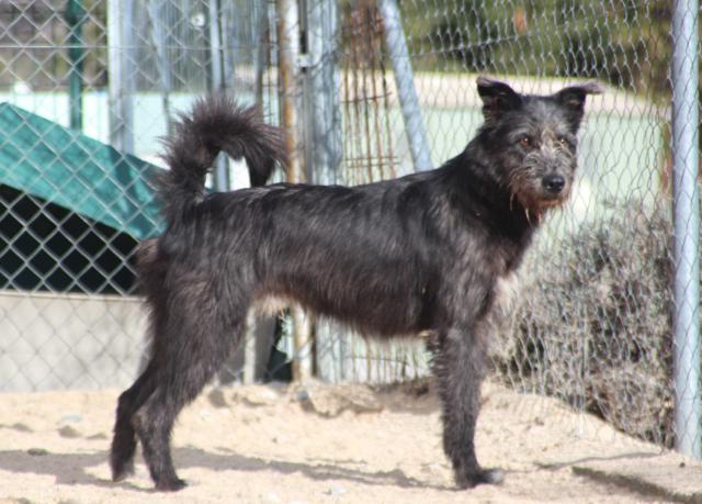 multimedia-foto38740-34-3