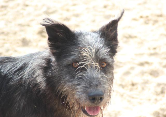 multimedia-foto38741-229-3