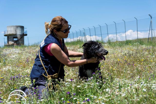 multimedia-foto38742-404-3