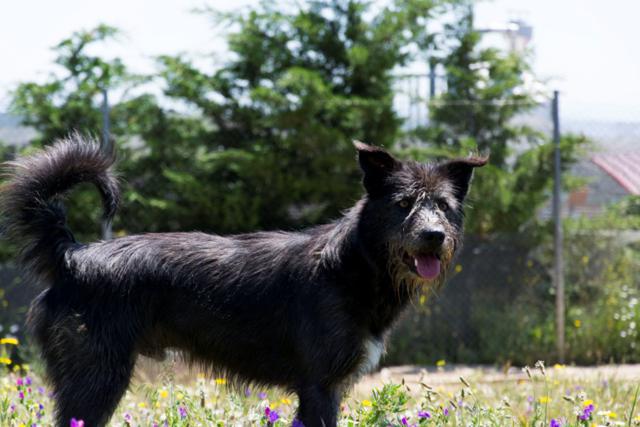 multimedia-foto38743-559-3