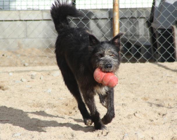 multimedia-foto38745-807-3