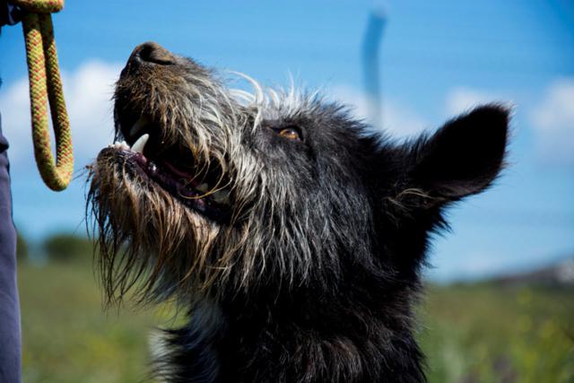 multimedia-foto38746-888-3