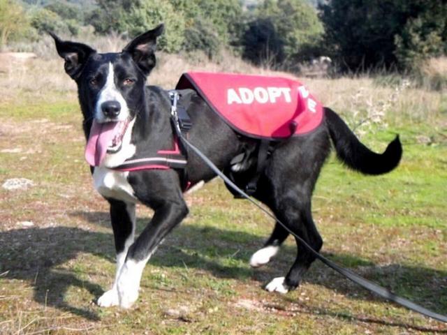 multimedia-foto38770-417-3