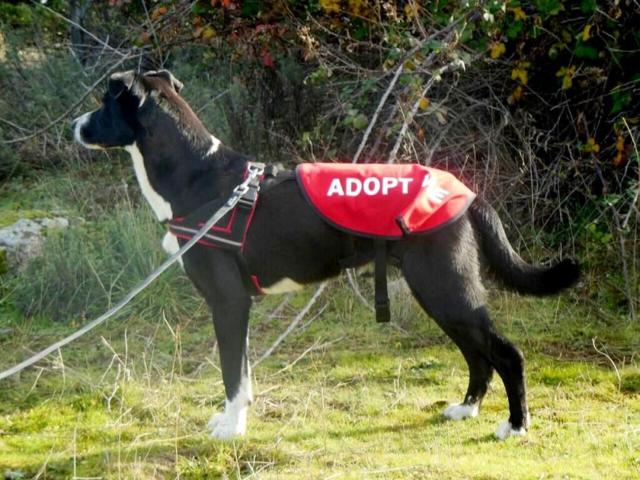 multimedia-foto38771-641-3