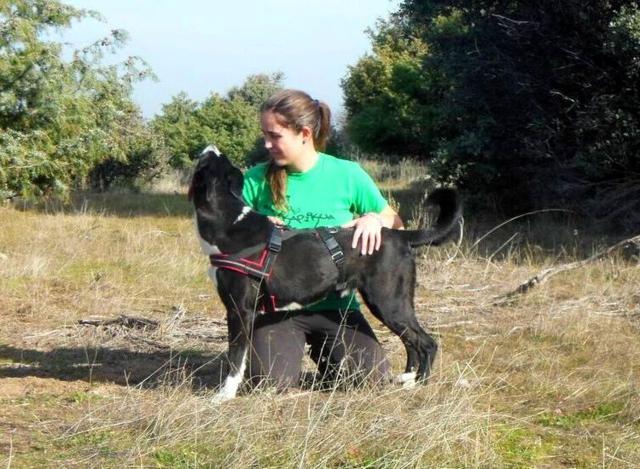 multimedia-foto38772-855-3