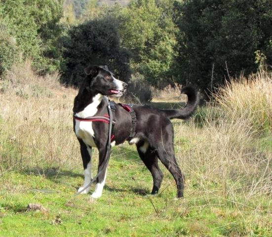 multimedia-foto38773-57-3