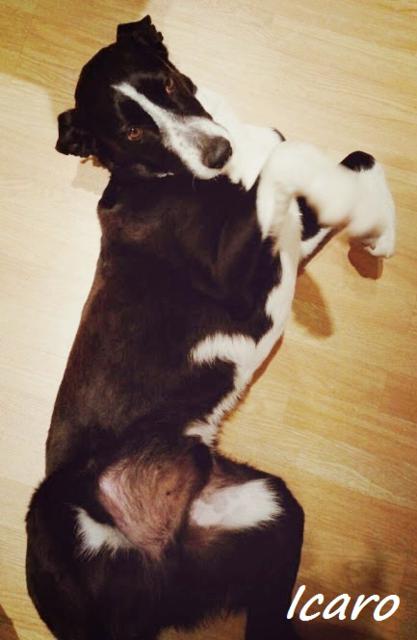 multimedia-foto38774-252-3