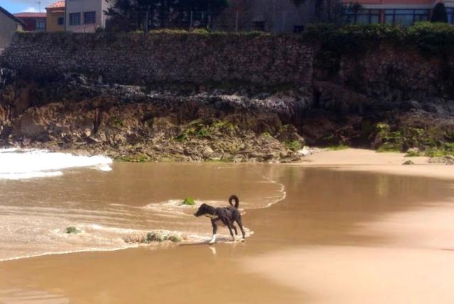 multimedia-foto38775-423-3