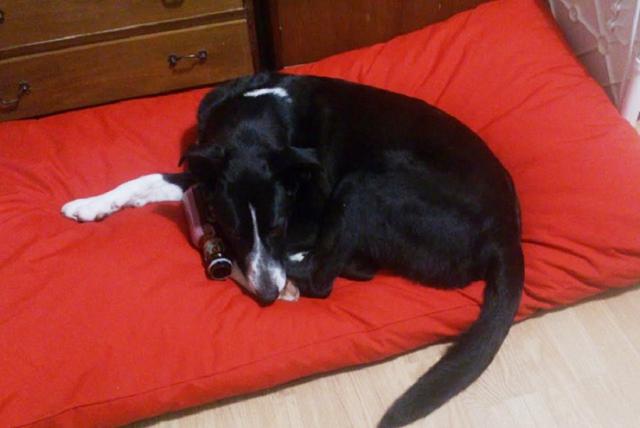 multimedia-foto38780-942-3