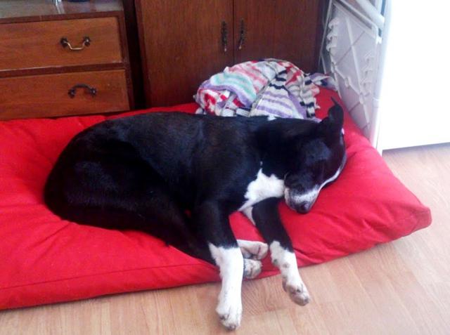 multimedia-foto38781-984-3