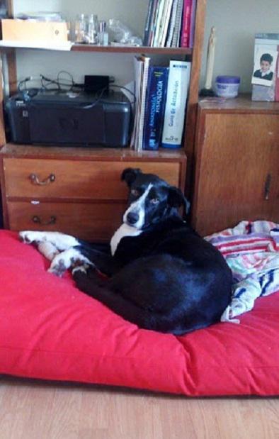 multimedia-foto38782-20-3