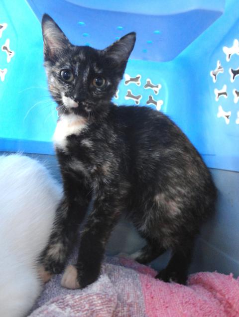 multimedia-foto38788-865-3