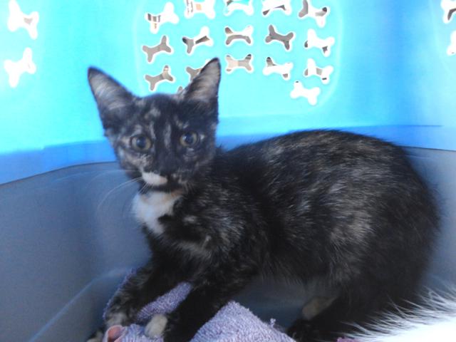 multimedia-foto38789-67-3