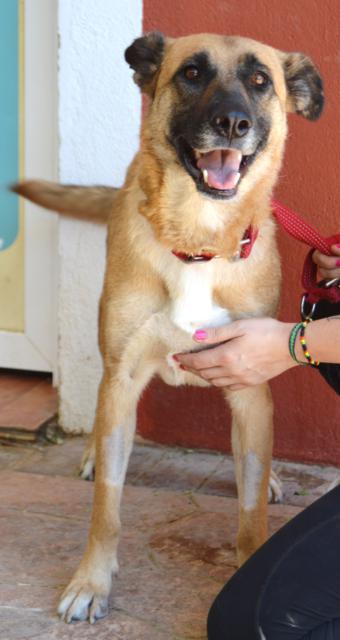 multimedia-foto38834-903-3