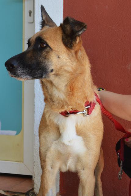 multimedia-foto38835-103-3