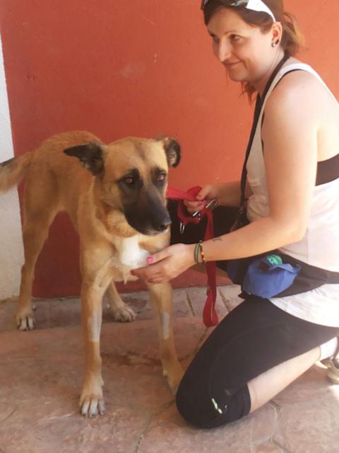 multimedia-foto38838-610-3