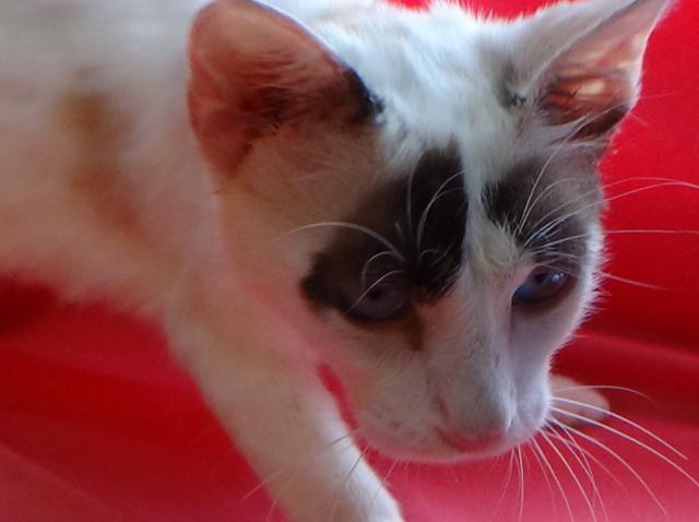 multimedia-foto38911-755-3