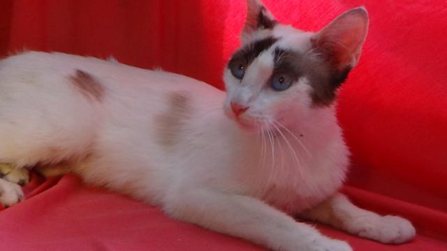 multimedia-foto38912-757-3