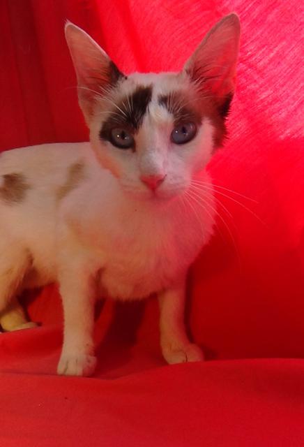 multimedia-foto38914-167-3