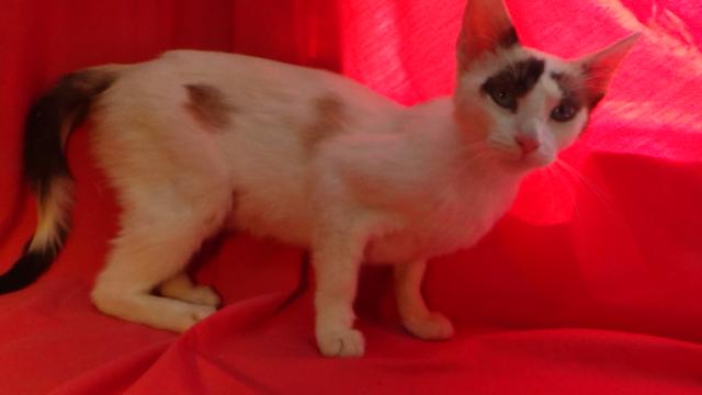 multimedia-foto38915-347-3