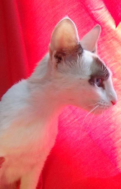 multimedia-foto38916-512-3