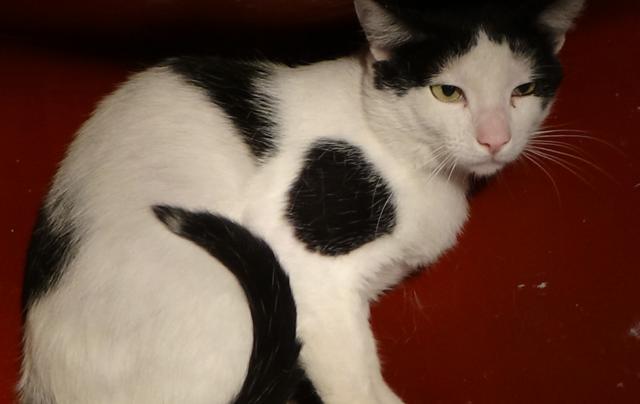 multimedia-foto38920-315-3