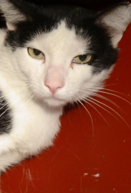 multimedia-foto38921-542-3