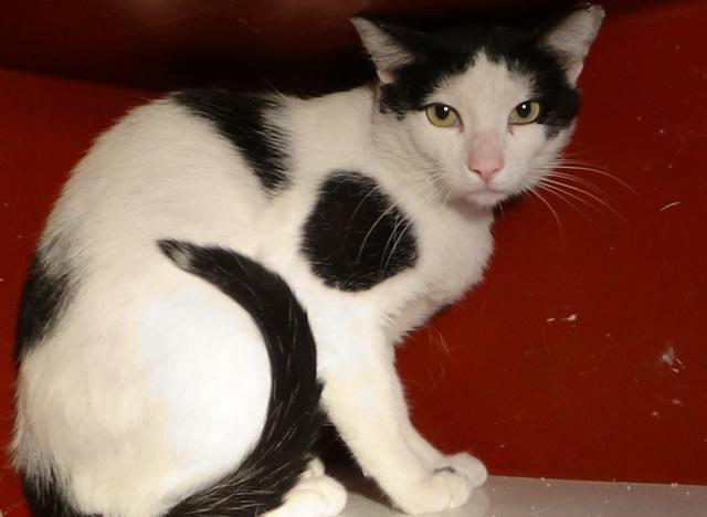 multimedia-foto38922-763-3