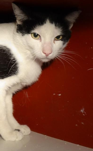 multimedia-foto38923-973-3