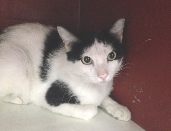 multimedia-foto38924-175-3