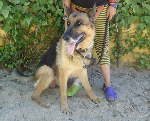 multimedia-foto38925-320-3