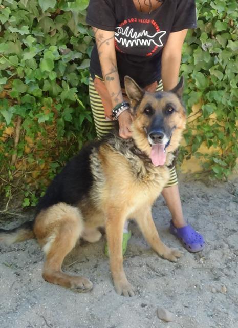 multimedia-foto38926-546-3