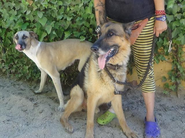 multimedia-foto38927-769-3