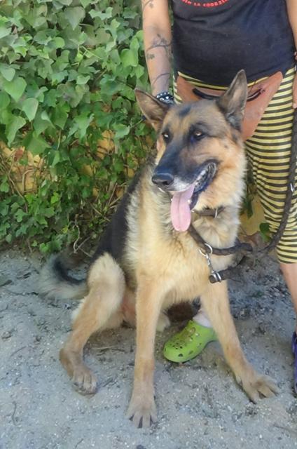 multimedia-foto38928-977-3