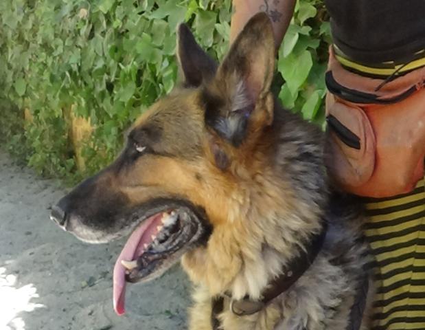 multimedia-foto38929-179-3